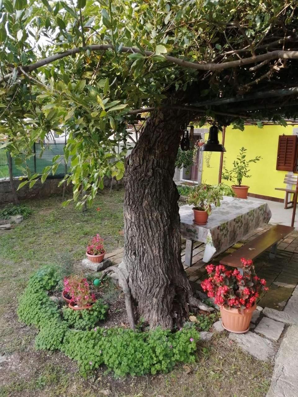 Holiday House Nono Labin  Exterior foto